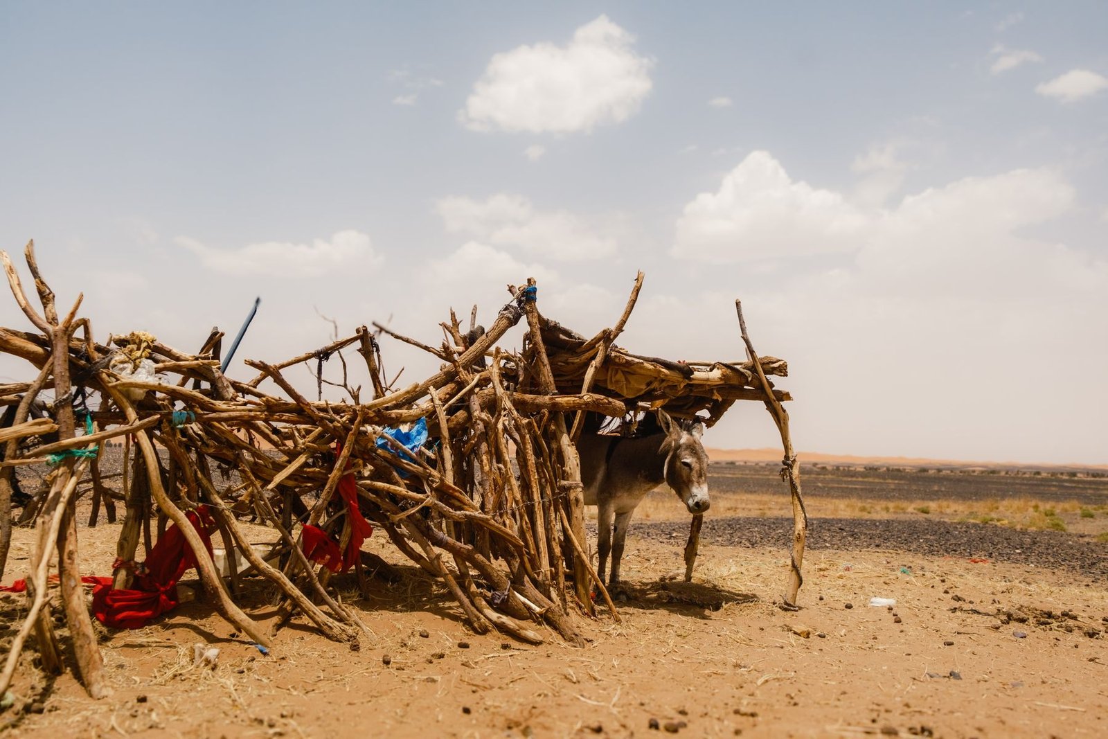 Tour deserto Sahara da Marrakech: guida completa