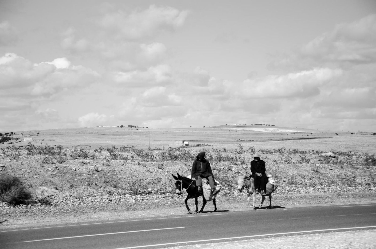 Escursioni da Marrakech: Atlas, Essaouira e Agafay