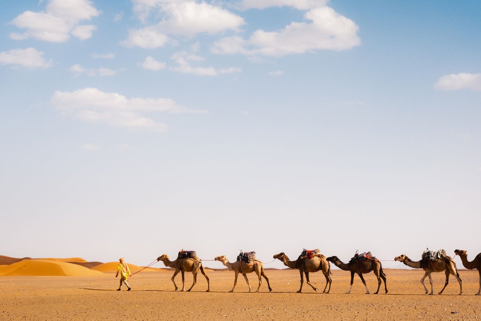 Sahara desert camel caravan at sunset