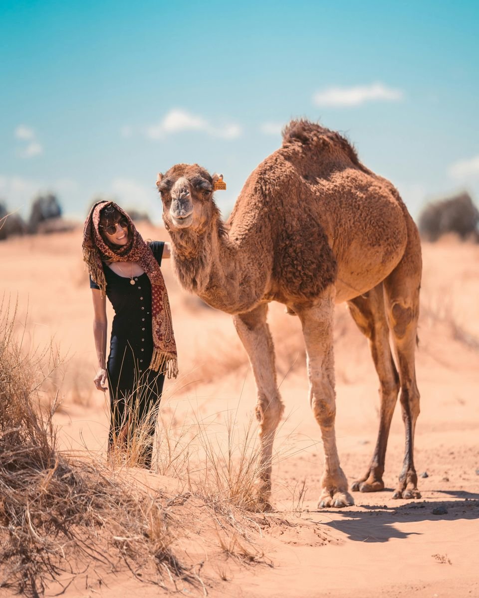 Morocco travel experience