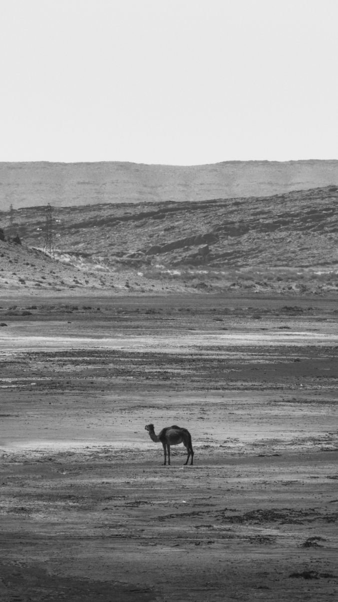 Luxusreise Marokko mit Riad und Wustencamp