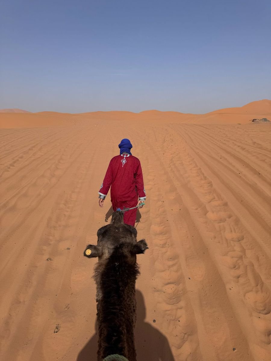 Marokko met kinderen: gezinsvriendelijke route