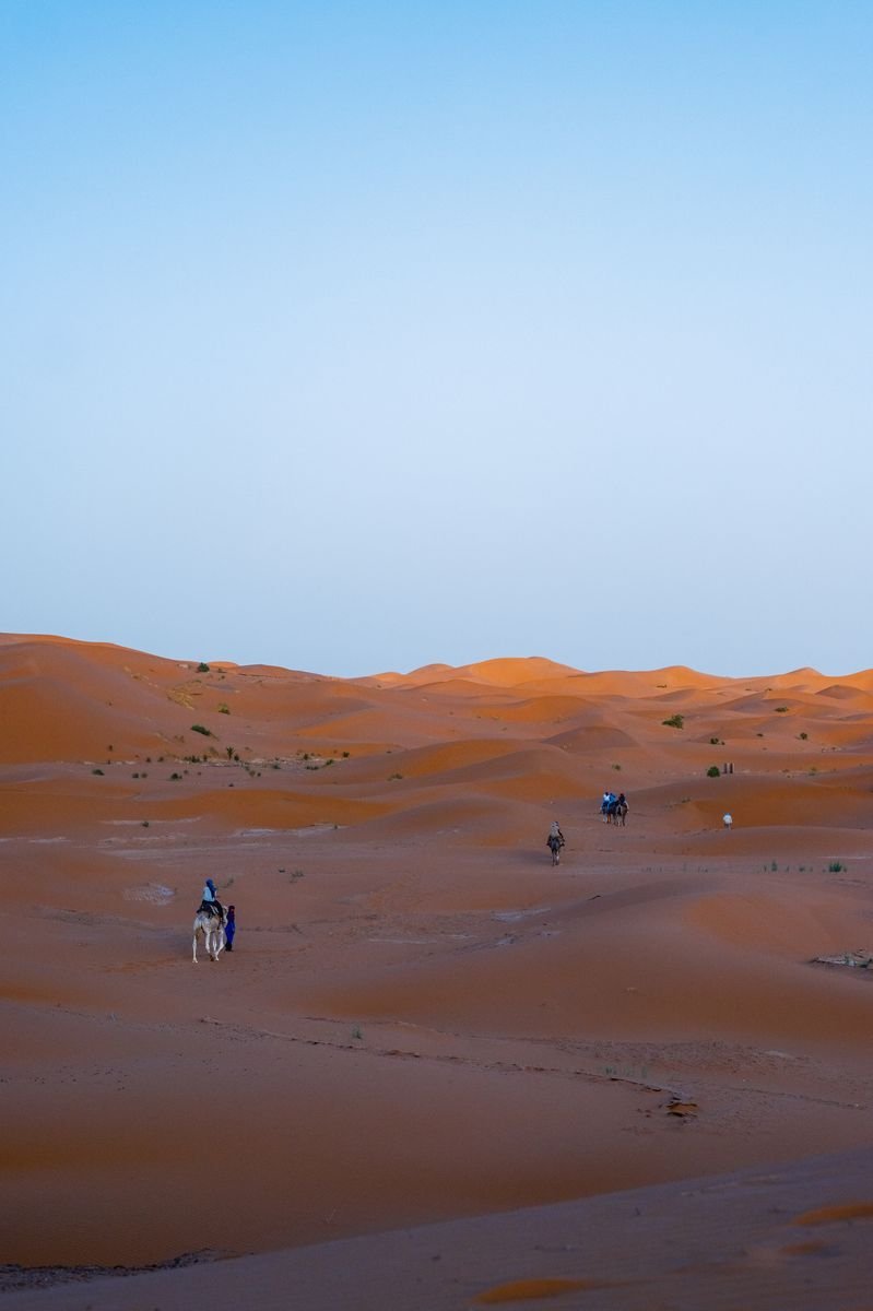 Best Time to Visit the Sahara Desert