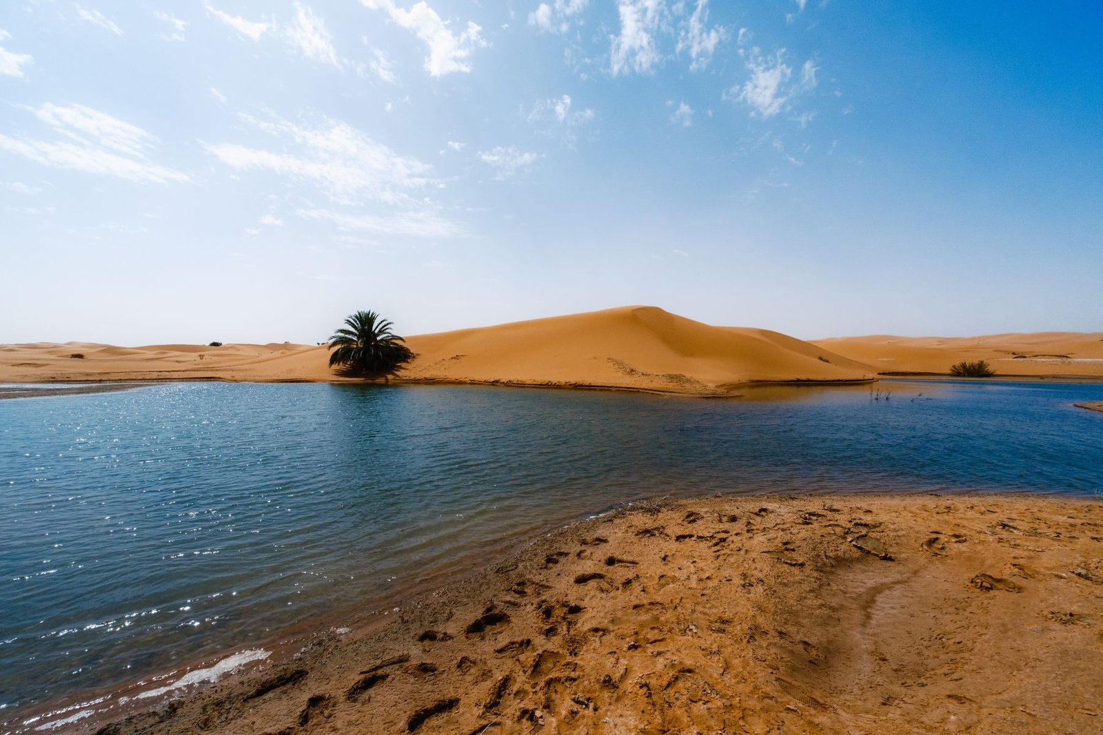 Mejores tours en Marruecos para viajeros primerizos