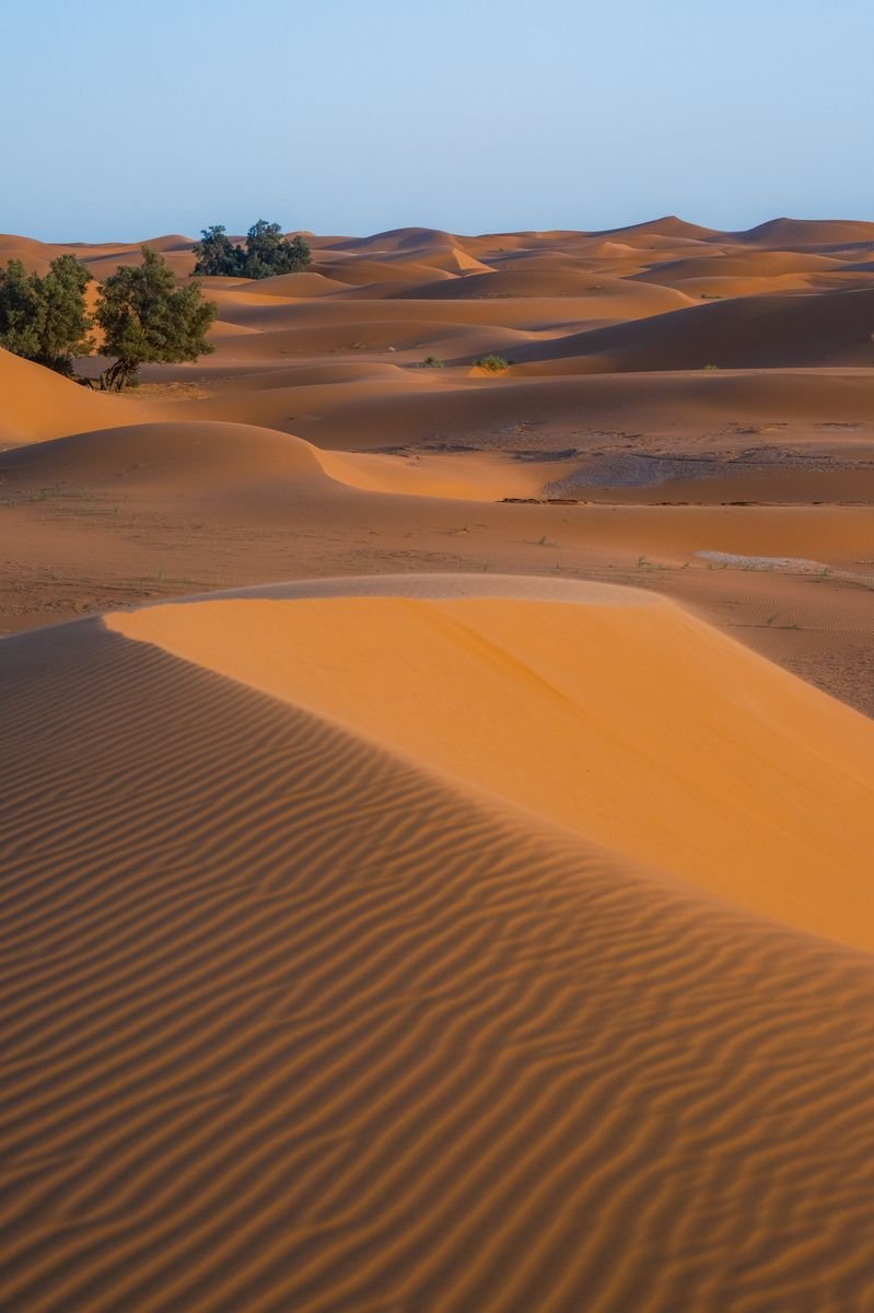 6 Days Imperial Cities and Sahara Tour from Marrakech